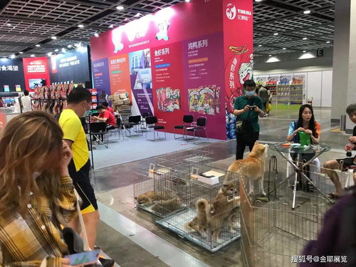 2022大灣區寵物用品博覽會暨采購交易會 共筑寵物經濟新生態